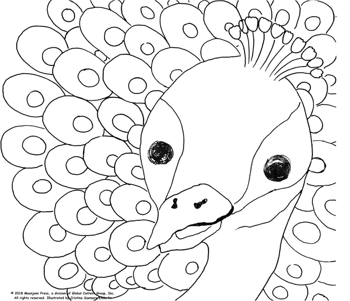 Printable: Peacock coloring page